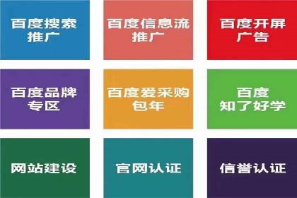 SEM广告投放案例：提升网站流量与转化
